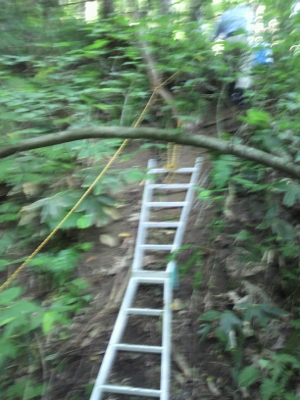 山道